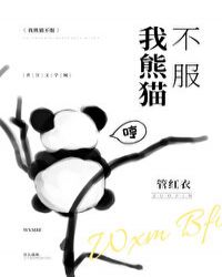 我熊貓不服小说封面